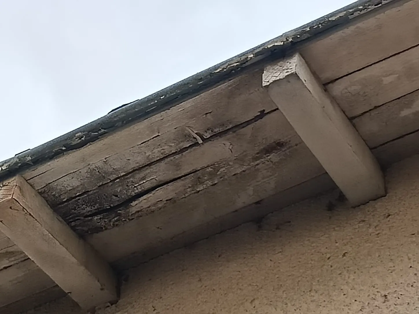Sous le débord de toit : quand les abouts de chevrons commencent à fendre